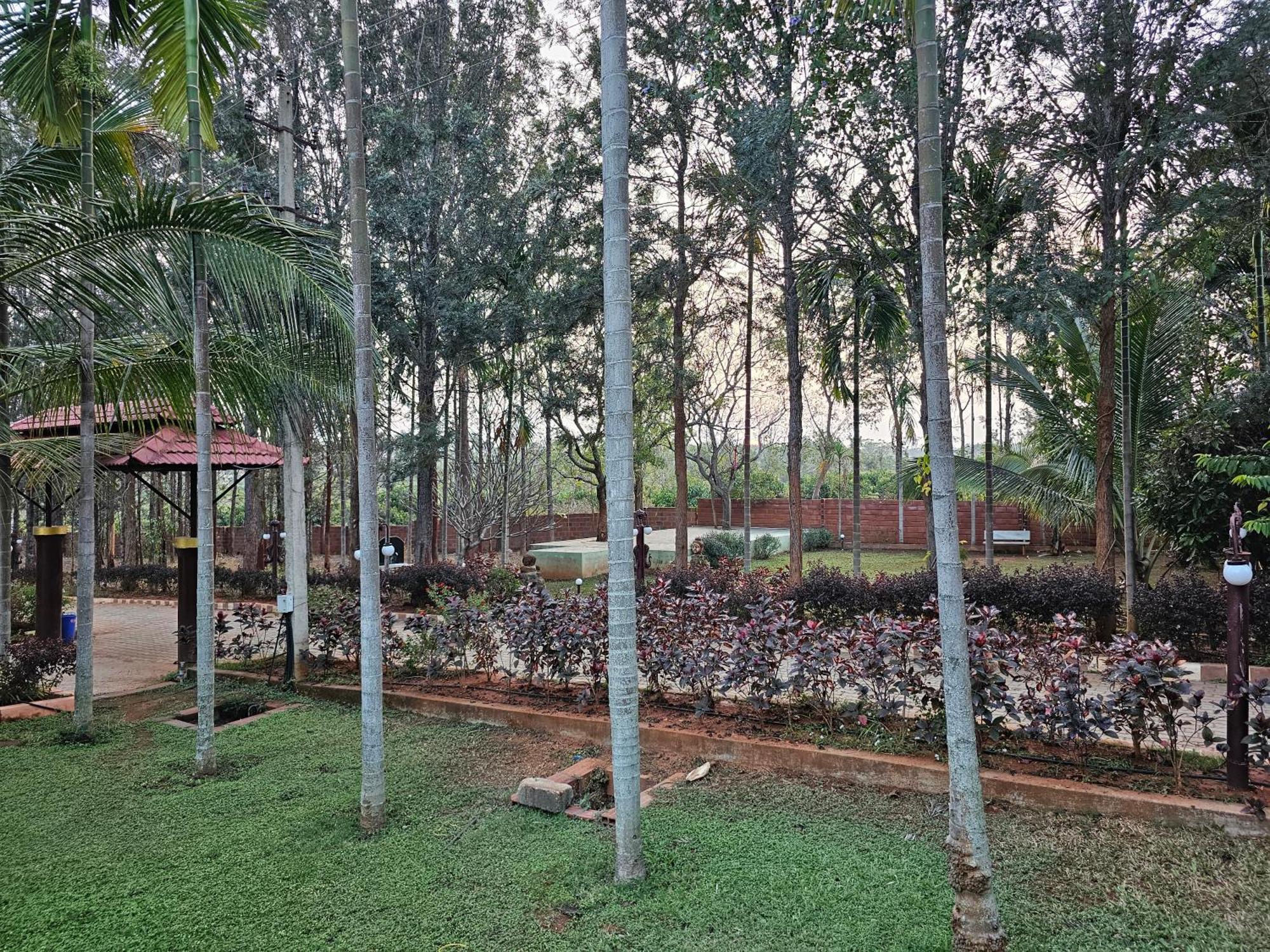 Ankit Vista Green Village Nelamangala Exterior photo